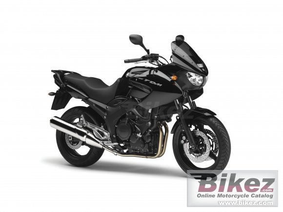 2011 Yamaha TDM 900 photo